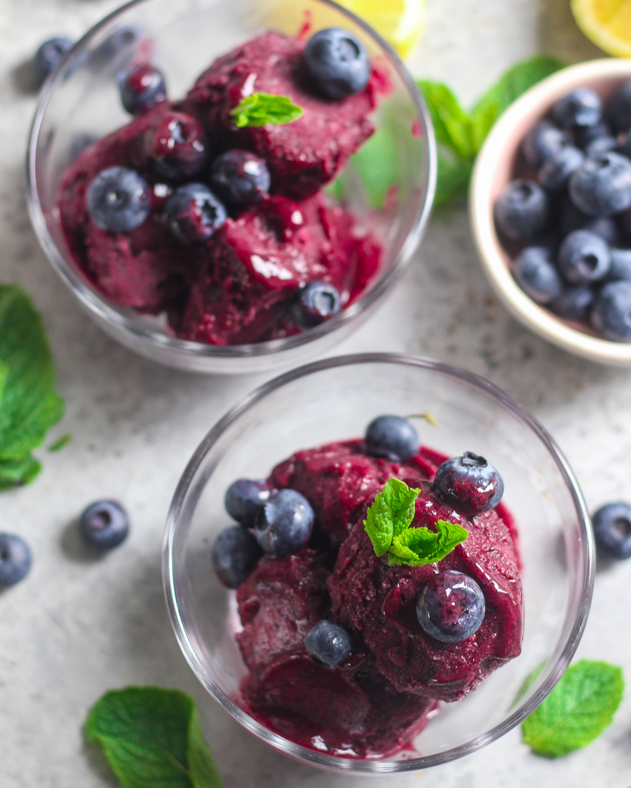3 Ingredient Blueberry Sorbet Ninja Kitchen